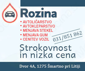 AVTOSERVIS BLAŽ ROZINA S.P.