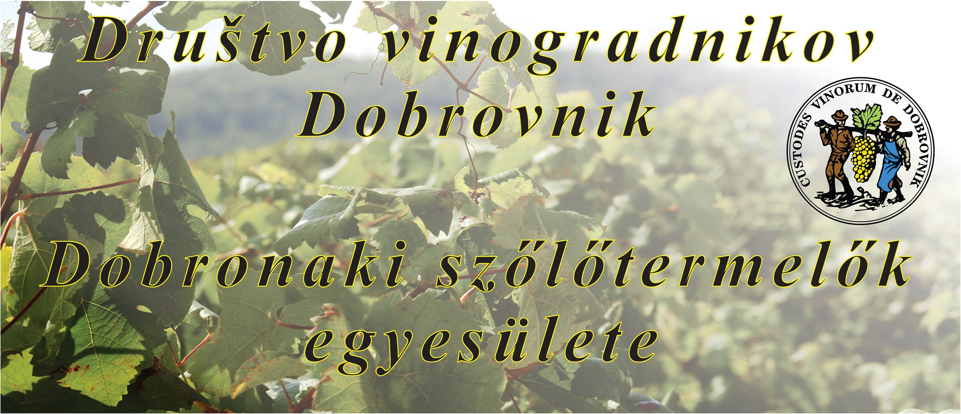 DRUŠTVO VINOGRADNIKOV DOBROVNIK - SZOLO ES BORTERMELOK EGYESÜLETE DOBRONAK