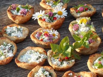 Terenska delavnica Divja hrana