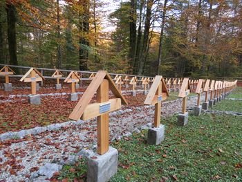 Slovesnost v počastitev žrtev prve svetovne vojne