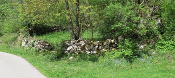 Suhozidna gradnja v alpskem prostoru