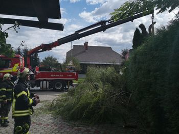 Veter ruval drevesa in odnašal strehe tudi v Bohinju Veter ruval drevesa in odnašal strehe tudi v Bohinju