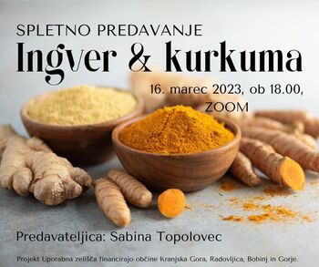 Ingver in kurkuma - spletno predavanje