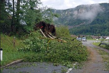 Ponoči močno neurje podiralo drevesa in odkrivalo strehe Ponoči močno neurje podiralo drevesa in odkrivalo strehe