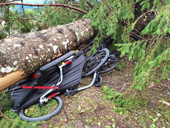 MOČNO NEURJE PODIRALO DREVESA IN ODKRIVALO STREHE 19.7.2023