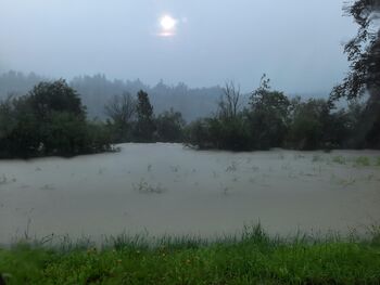 Obvestilo o pričetku ocenjevanja škode na kmetijskih pridelkih zaradi posledic neurij s točo v obdobju od 10. maja do 1. avgusta 2023 ter posledic poplav za obdobje od 3. do 6. avgusta in od 28. do 31. avgusta 2023