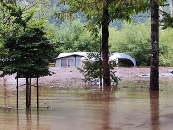 Kontakt za vprašanja glede dodelitev sredstev za obnovo po nesrečah Kontakt za vprašanja glede dodelitev sredstev za obnovo po nesrečah