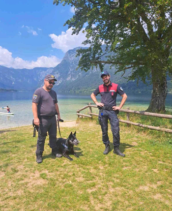 Izvajamo nadzor nad lastniki psov na območju Bohinjskega jezera