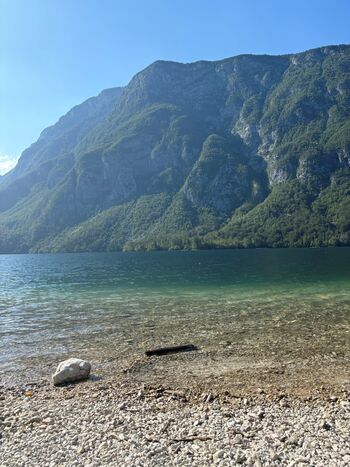Obvestilo: Odstranitev nepravilno odloženih plovil ob Bohinjskem jezeru