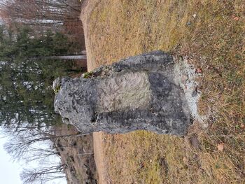 Odtujitev spominskega obeležja NOB v Bohinju