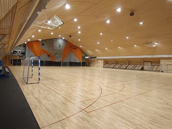 Dvorana Danica z novo športno podlago in večjo varnostjo