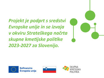 Vodnjaki ljubezni – digitalna preteklost in pametna prihodnost