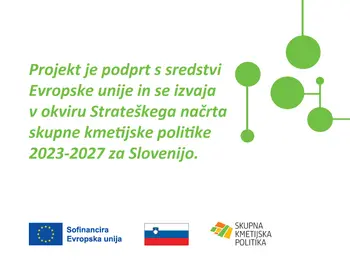 Vodnjaki ljubezni – digitalna preteklost in pametna prihodnost
