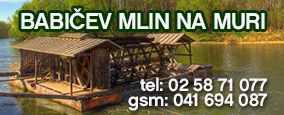MLIN NA MURI KARMEN BABIČ S.P.