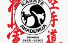 KLUB KARATE AKADEMIJA BOHINJ