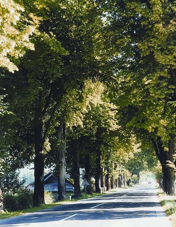 KRAJEVNA SKUPNOST NAKLO