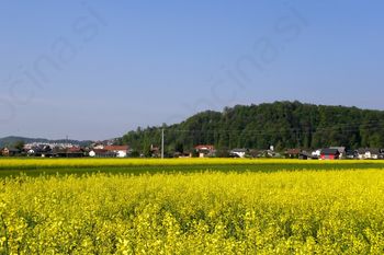Čistilna akcija OČISTIMO TRZIN 2017