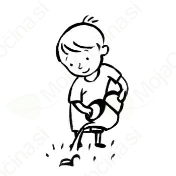 Sajenje in gojenje česna