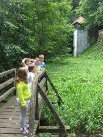 Poletno počitniško varstvo