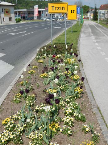 Slavnostna akademija ob prazniku Občine Trzin