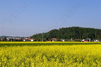 Zdravje v občinah 2018