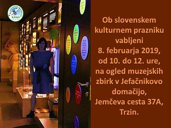 Ogled muzejskih zbirk v Jefačnikovi domačiji