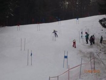 Veleslalom Občine Trzin