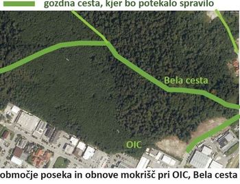 Obvestilo o odstranjevanju lesne zarasti na mokriščih Obvestilo o odstranjevanju lesne zarasti na mokriščih