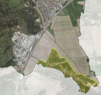 Javna razgrnitev: Odlok o zavarovanju naravne vrednote lokalnega pomena Blatnice - nahajališče močvirske logarice