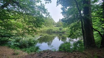Odprtje izobraževalne točke o mokriščih