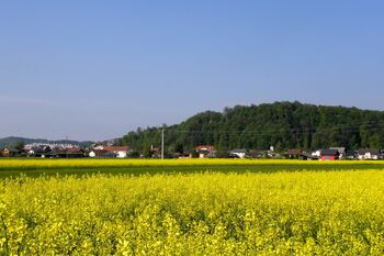 Lokacije jesenskega zbiranja in odvoza zelenega odreza