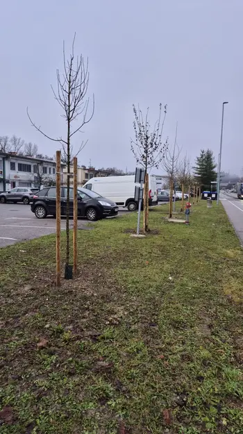 Dogodek ob zaključku akcije ozelenjevanja v Trzinu