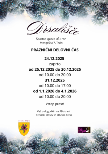 Praznični delovni čas drsališča