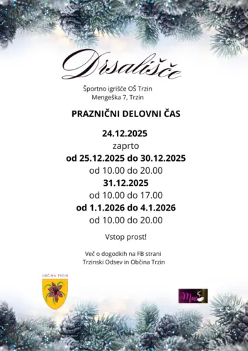 Praznični delovni čas drsališča