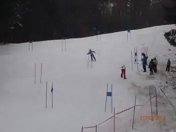 21. VELESLALOM OBČINE TRZIN