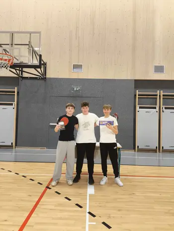Ping pong turnir