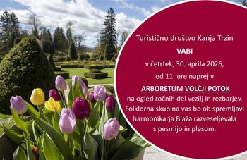 Ogled ročnih del vezilj in rezbarjev v Arboretumu Volčji Potok