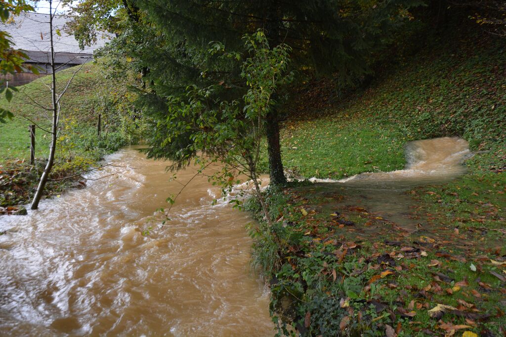 Ob izviru Pšate - knjiga o vasi Pšata