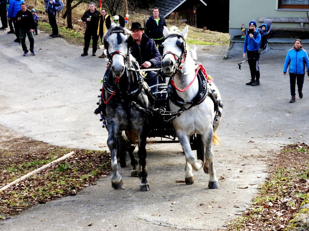 Na štefanovo blagoslovili konje na Štefanji Gori