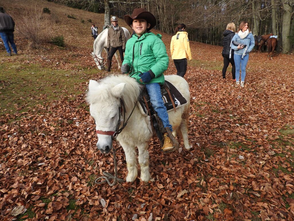Na štefanovo blagoslovili konje na Štefanji Gori