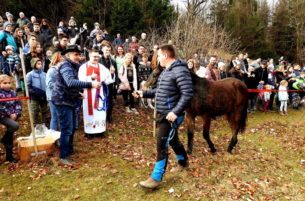Na štefanovo blagoslovili konje na Štefanji Gori