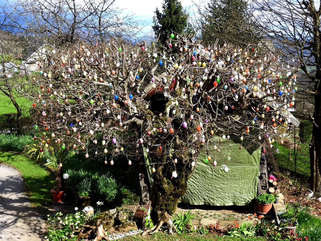 Velikonočno drevo okrasila s 700 pirhi