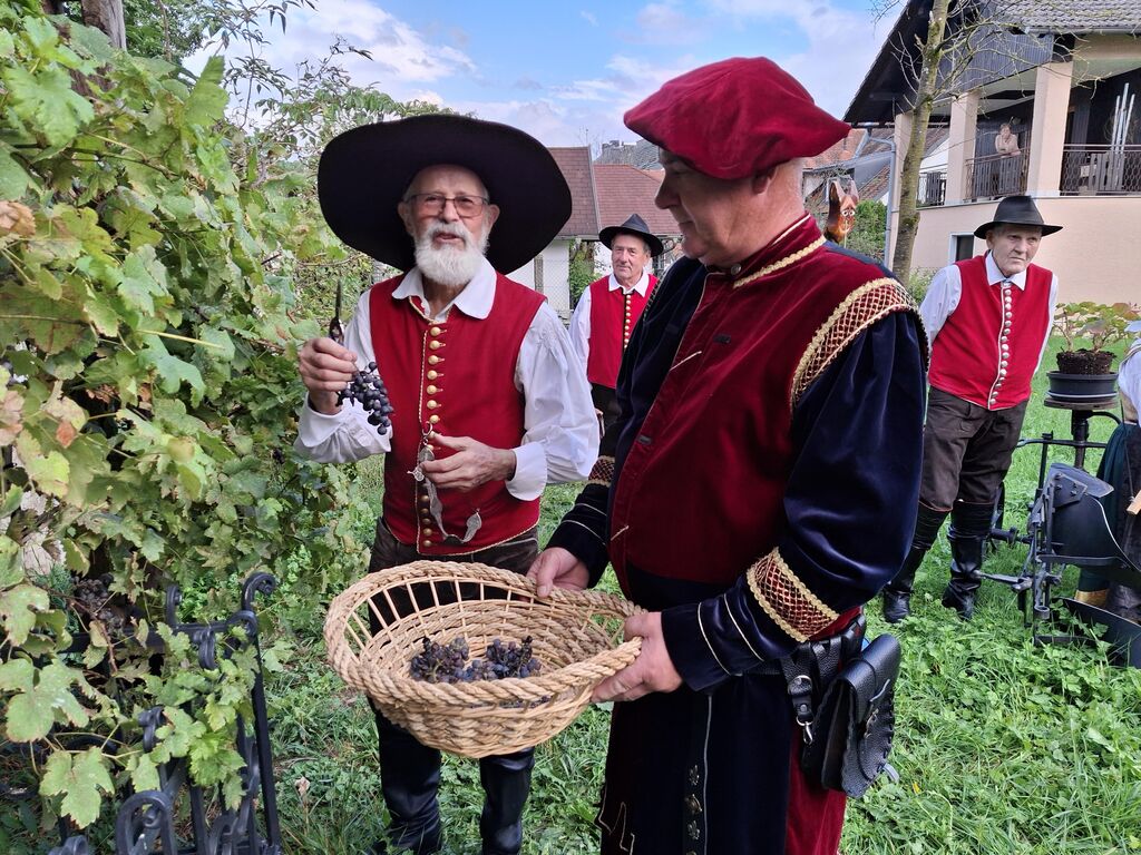 Po trgatvi odprli še prenovljeno Borštnikovo klet