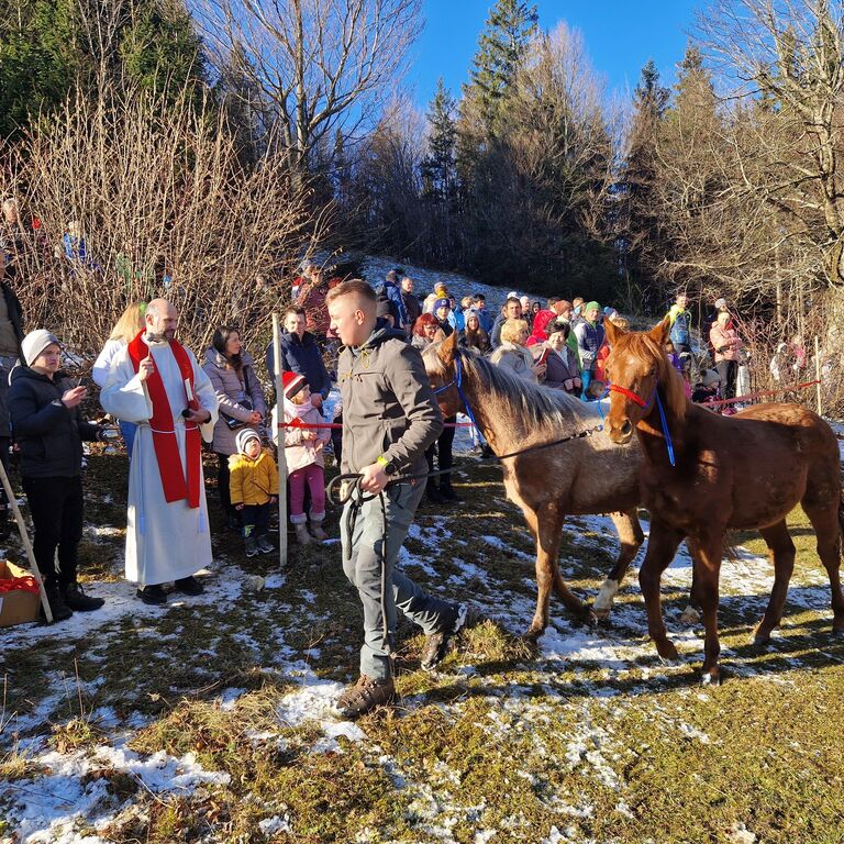 Na štefanovo blagoslovili konje na Štefanji Gori