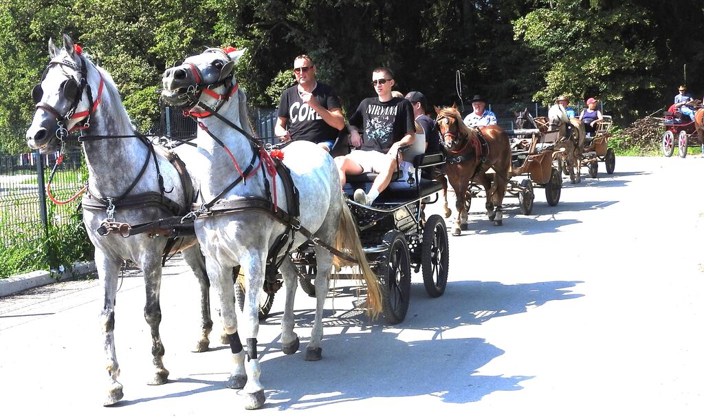 Krvavška konjenica uspela, letos sodelovalo veliko deklet