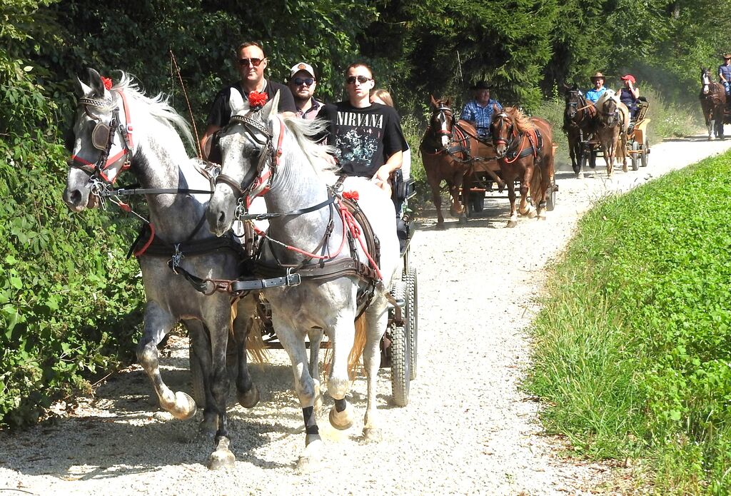 Krvavška konjenica uspela, letos sodelovalo veliko deklet