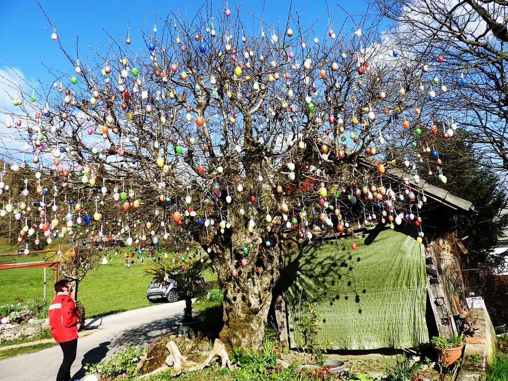 Na drevo sta letos obesila 950 pirhov