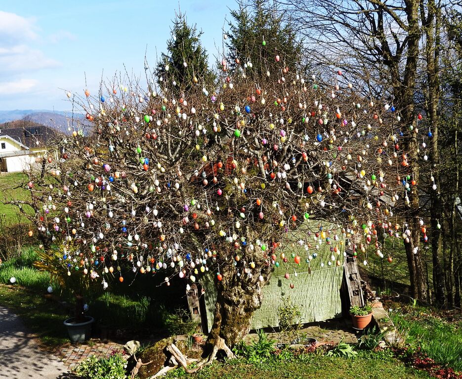 Na drevo sta letos obesila 950 pirhov