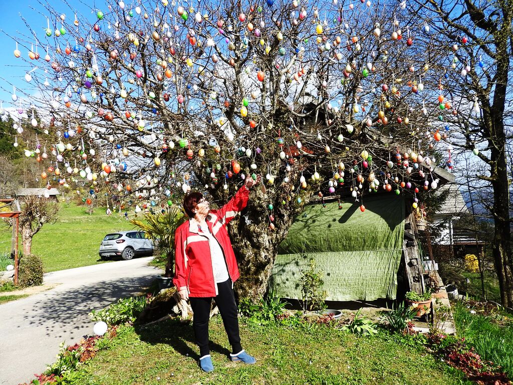 Na drevo sta letos obesila 950 pirhov