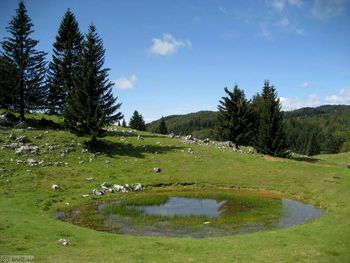 Planinski izlet Menina planina - Goli vrh - Vivodnik